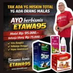 whatsapp image 2026 02 26 at 11.36.12